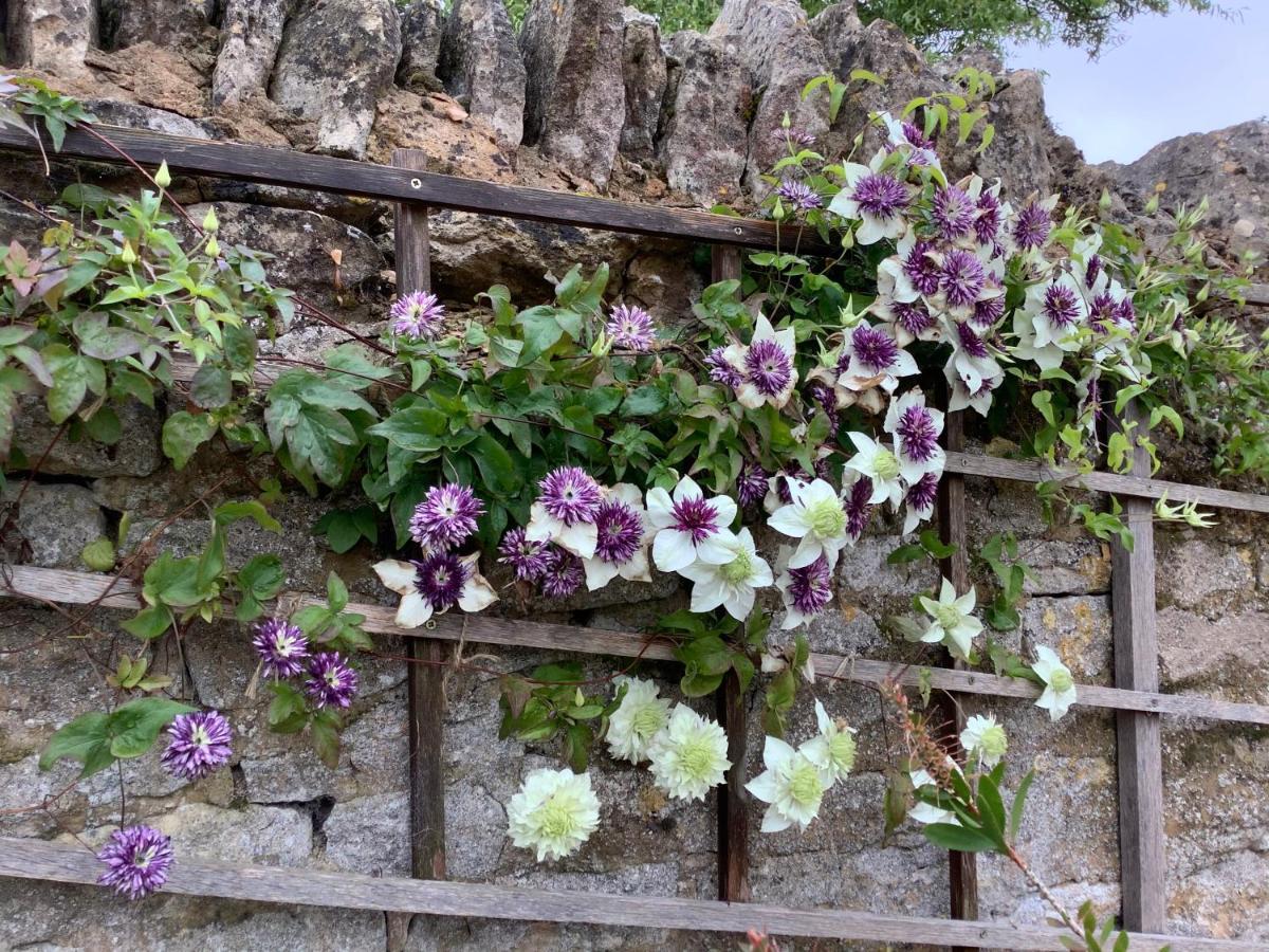 Hollyhock Cottage, Clematis Cottages, Stamford Bagian luar foto