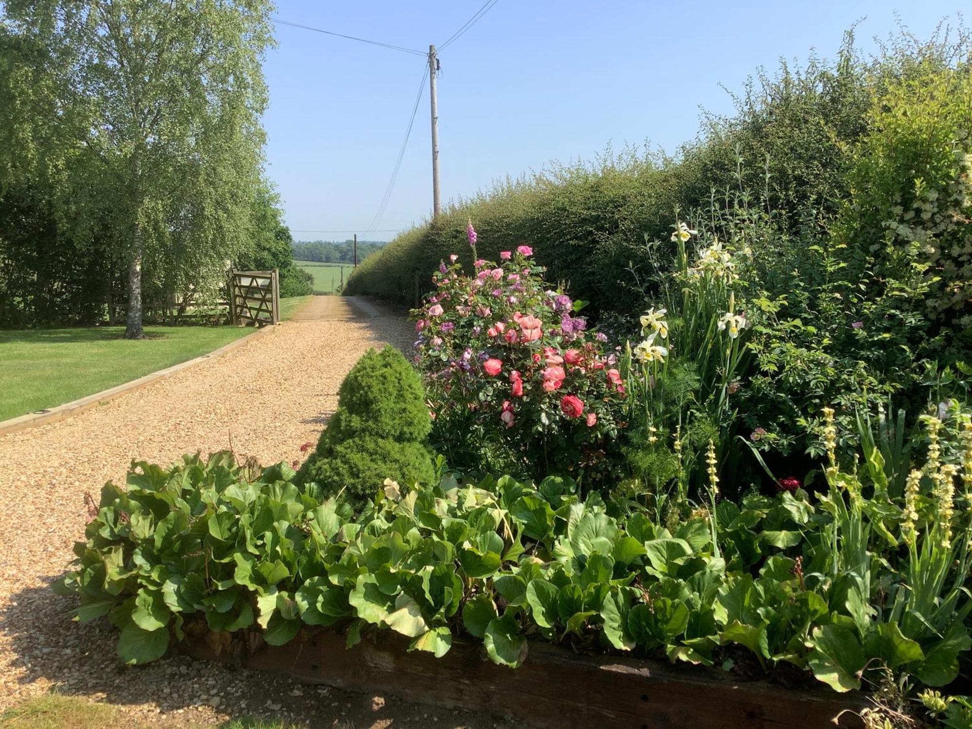 Hollyhock Cottage, Clematis Cottages, Stamford Bagian luar foto
